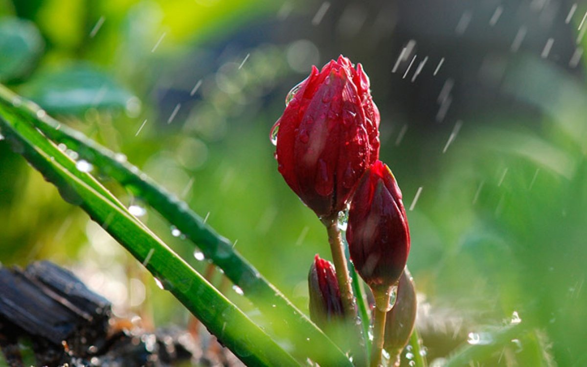 Дощ і похолодання: якою буде погода у Дніпрі 21 квітня