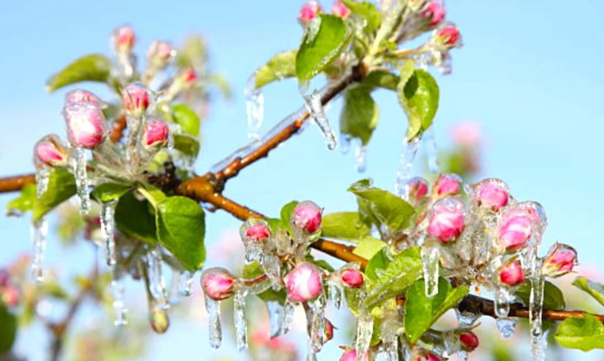 Прогноз погоды в Днепре на 22 апреля