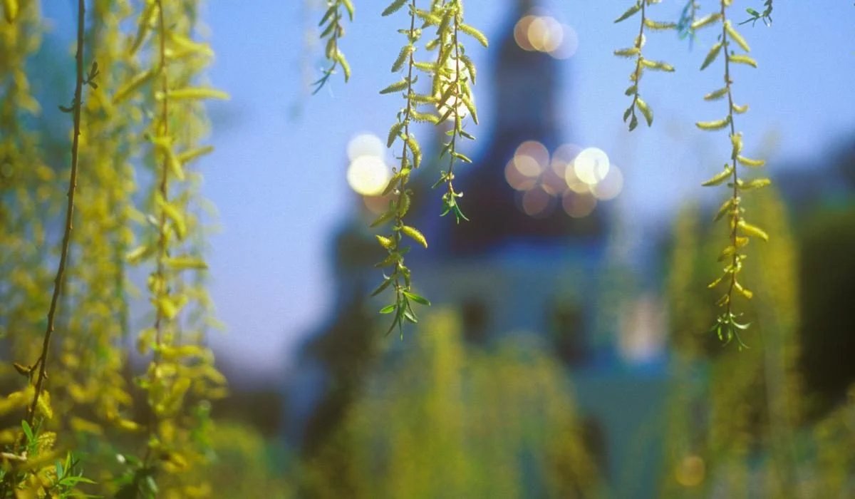 Яке сьогодні свято і кого вітати з іменинами: 22 квітня — все про цей день