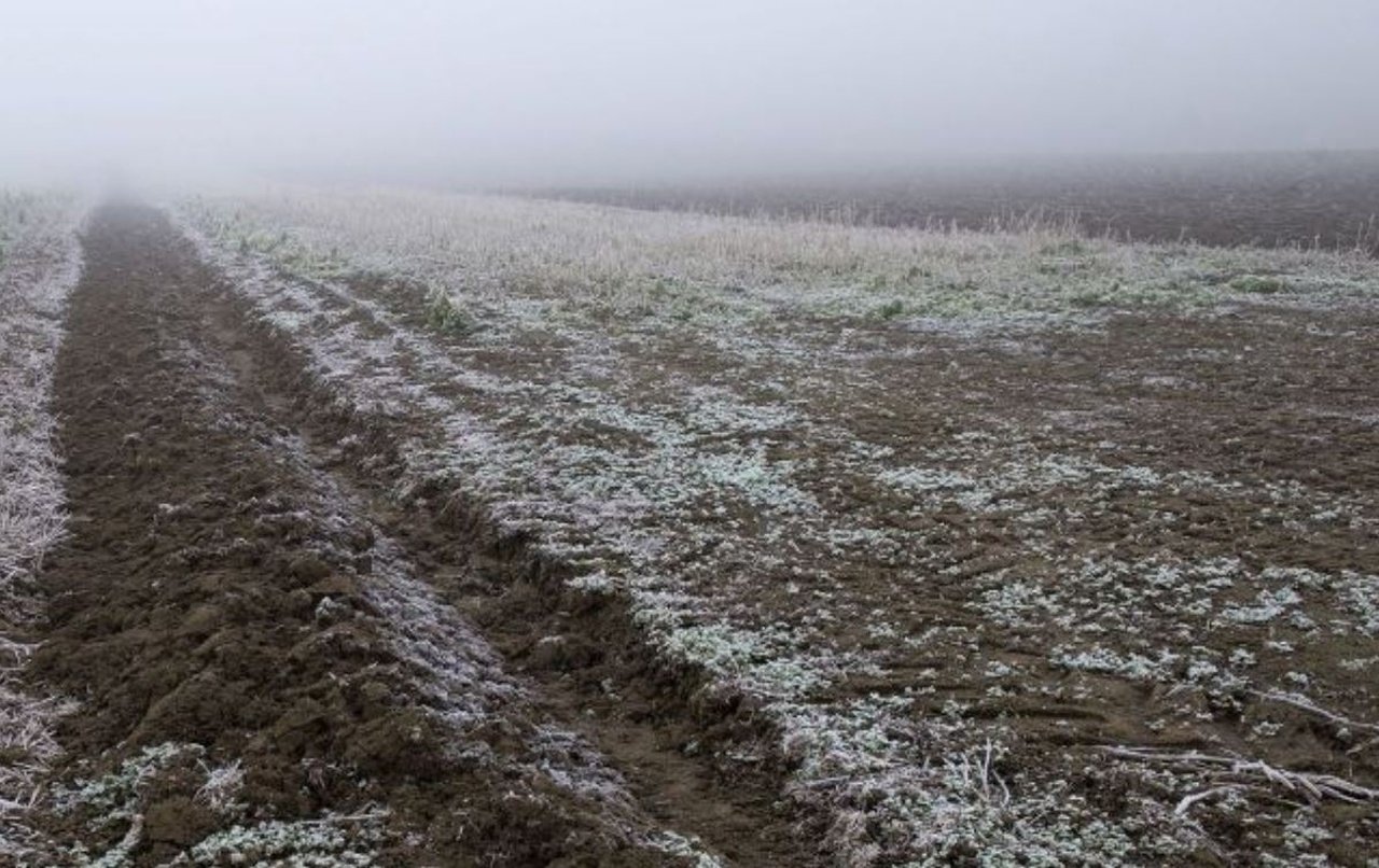 Заморозки на землі.