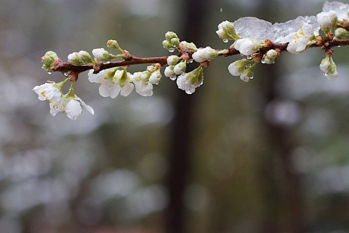 Сильний вітер і до +13: прогноз погоди на 23 квітня у Дніпрі