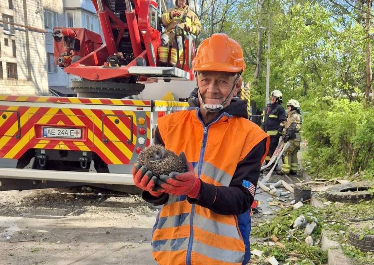Після нічної атаки у Дніпрі з-під завалів врятували їжака