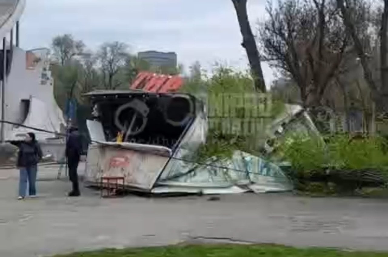Гілка впала на тир в парку Глоби