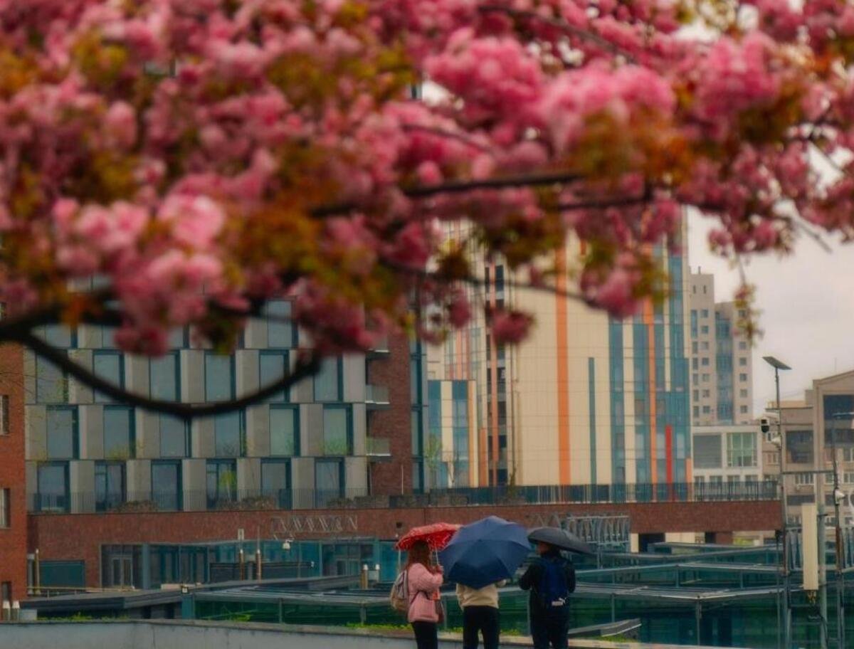 Куди піти у Дніпрі 25–26 квітня: добірка подій на вихідні