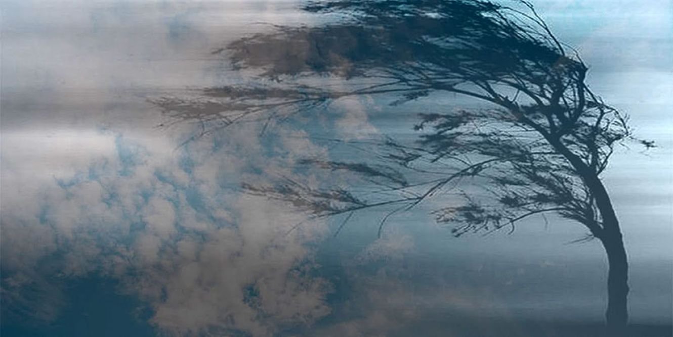 Ненастье надвигается: в Днепре прогнозируют шквальный ветер до 22 м/с