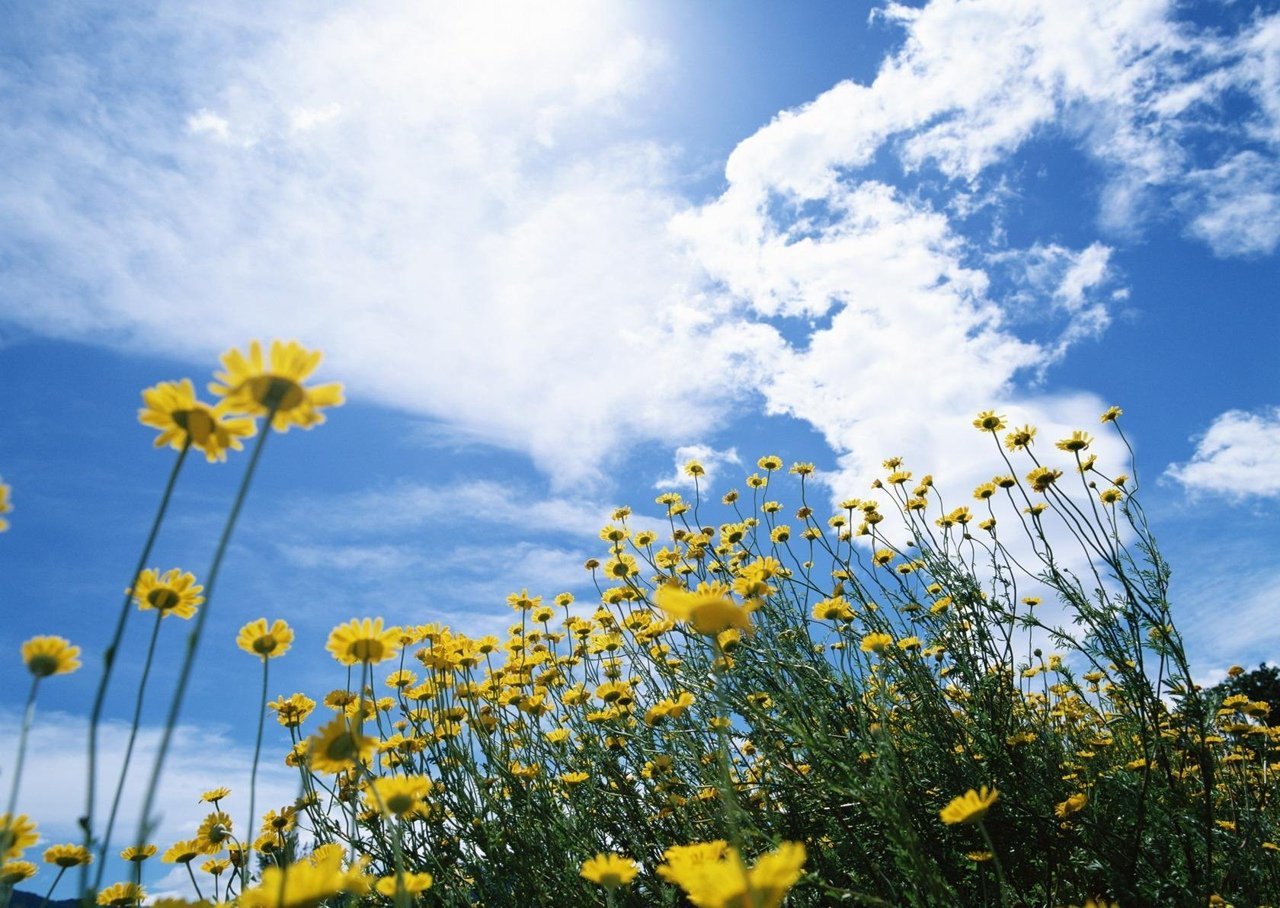 Солнечно и без дождя: какая погода будет в Днепре сегодня