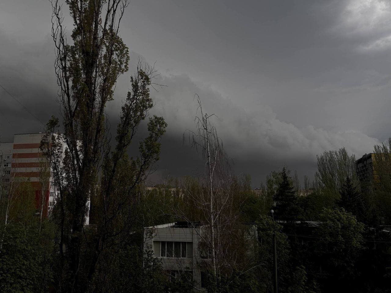 Ненастье в Днепре усилилось: ветер валит деревья и сносит крыши