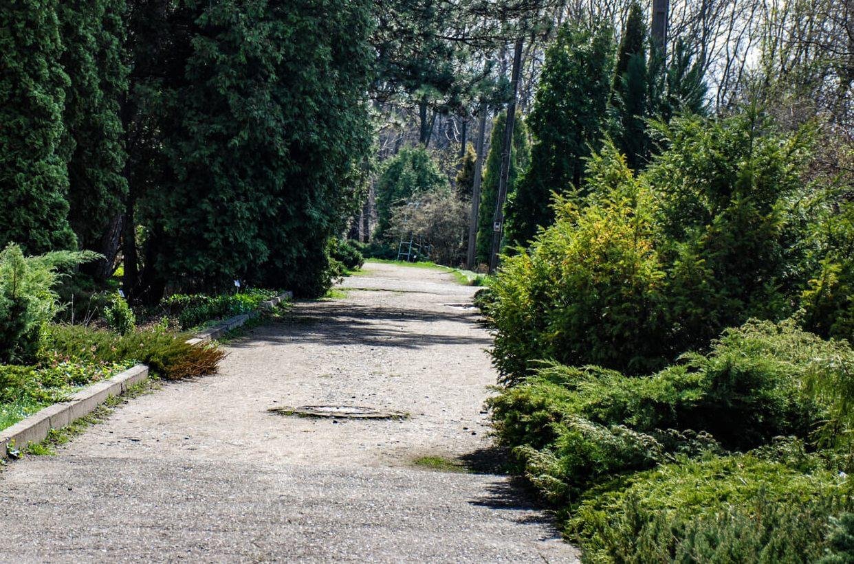 Як ботсад у Дніпрі працюватиме у травні: коли заплановані робочі суботи