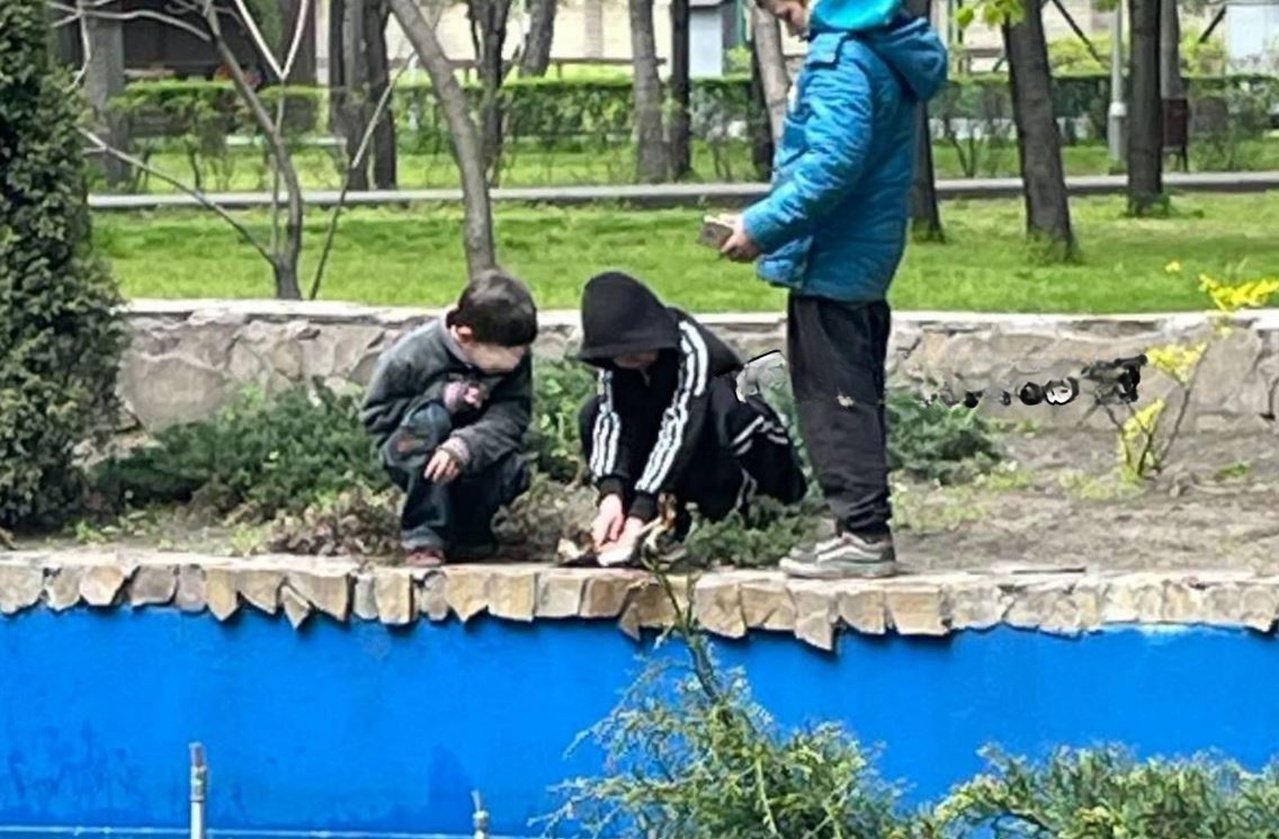 Діти намагалися врятувати тварину