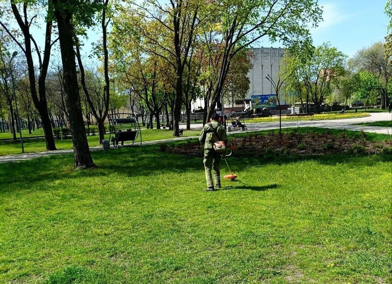 Озеленение в Днепре