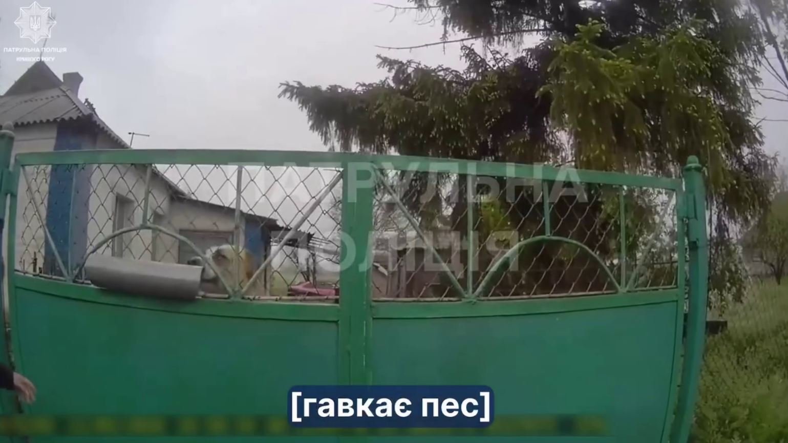 Собака не пускала патрульных в дом своей хозяйки