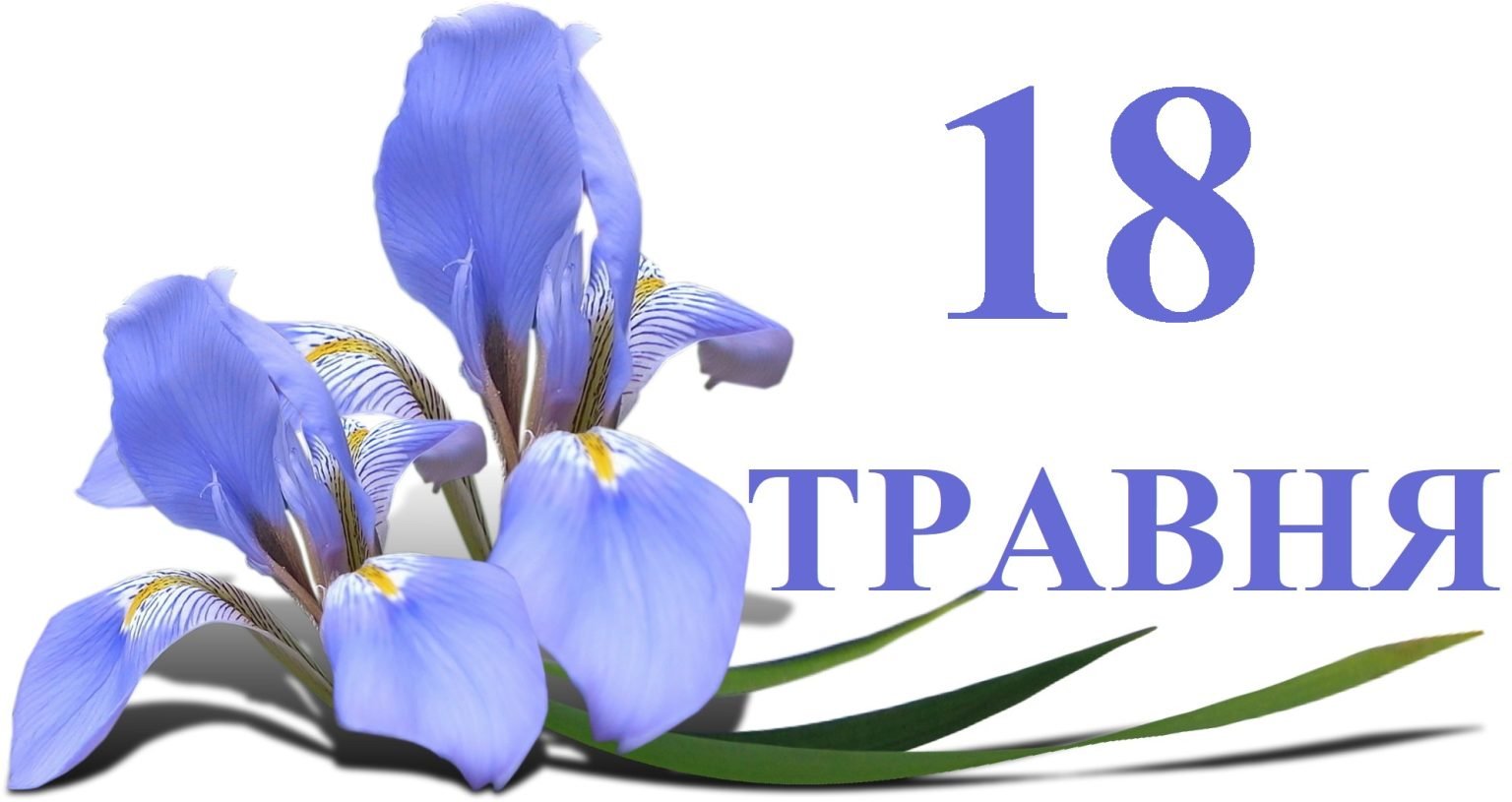 Какой сегодня праздник и кого поздравлять с именинами: 18 мая – все об этом дне