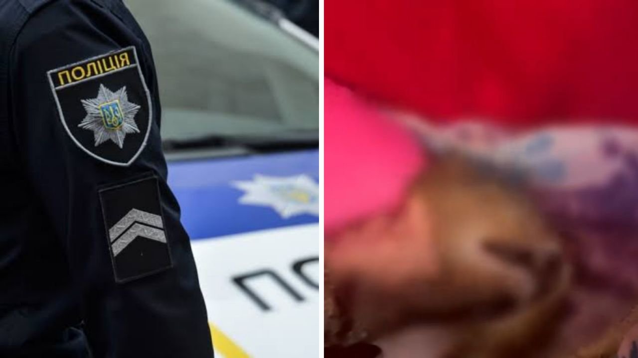 Дівчина душила кота на відео: у Павлограді розслідують жорстокий інцидент