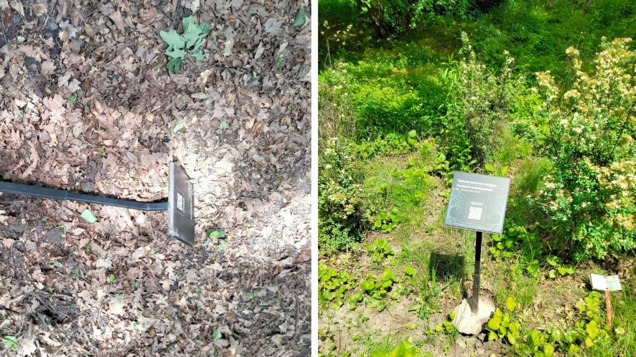 В Днепре школьники устроили погром в Ботсаде ДНУ