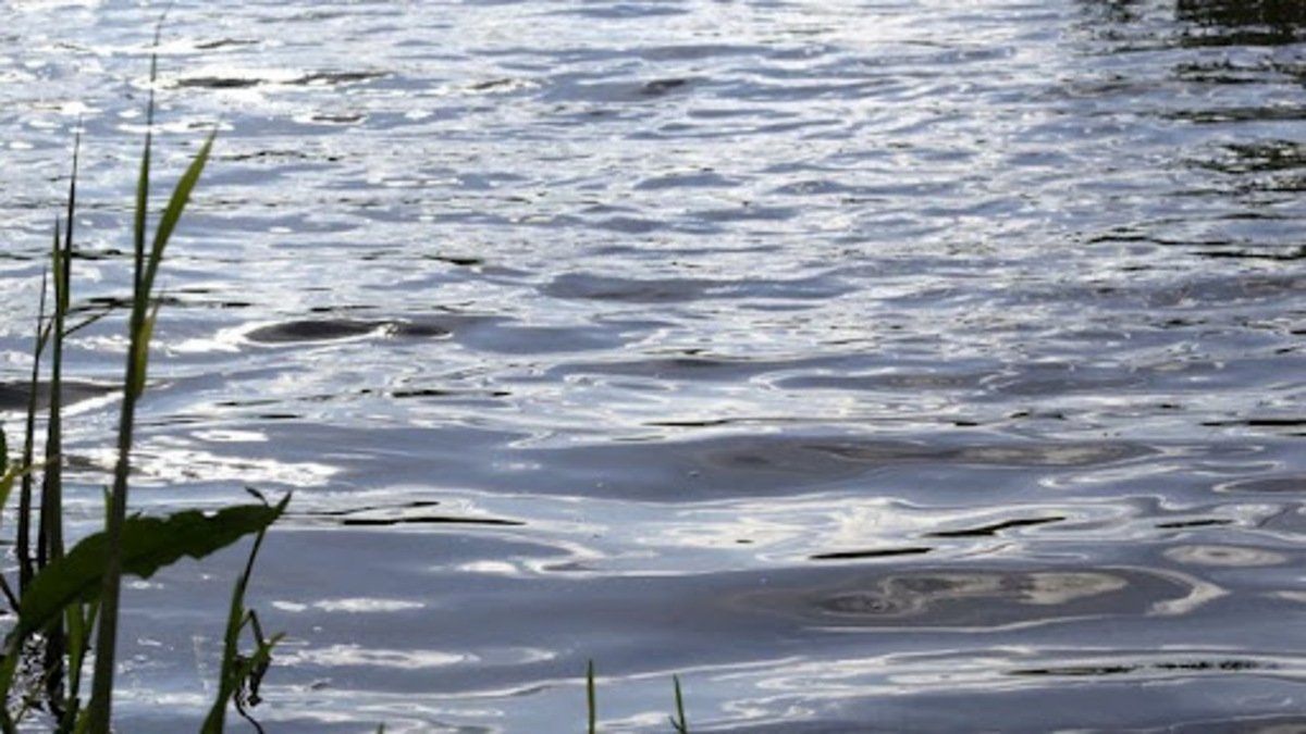 У Кривому Розі рятувальники дістали з води тіло 9-річної дитини: що відомо