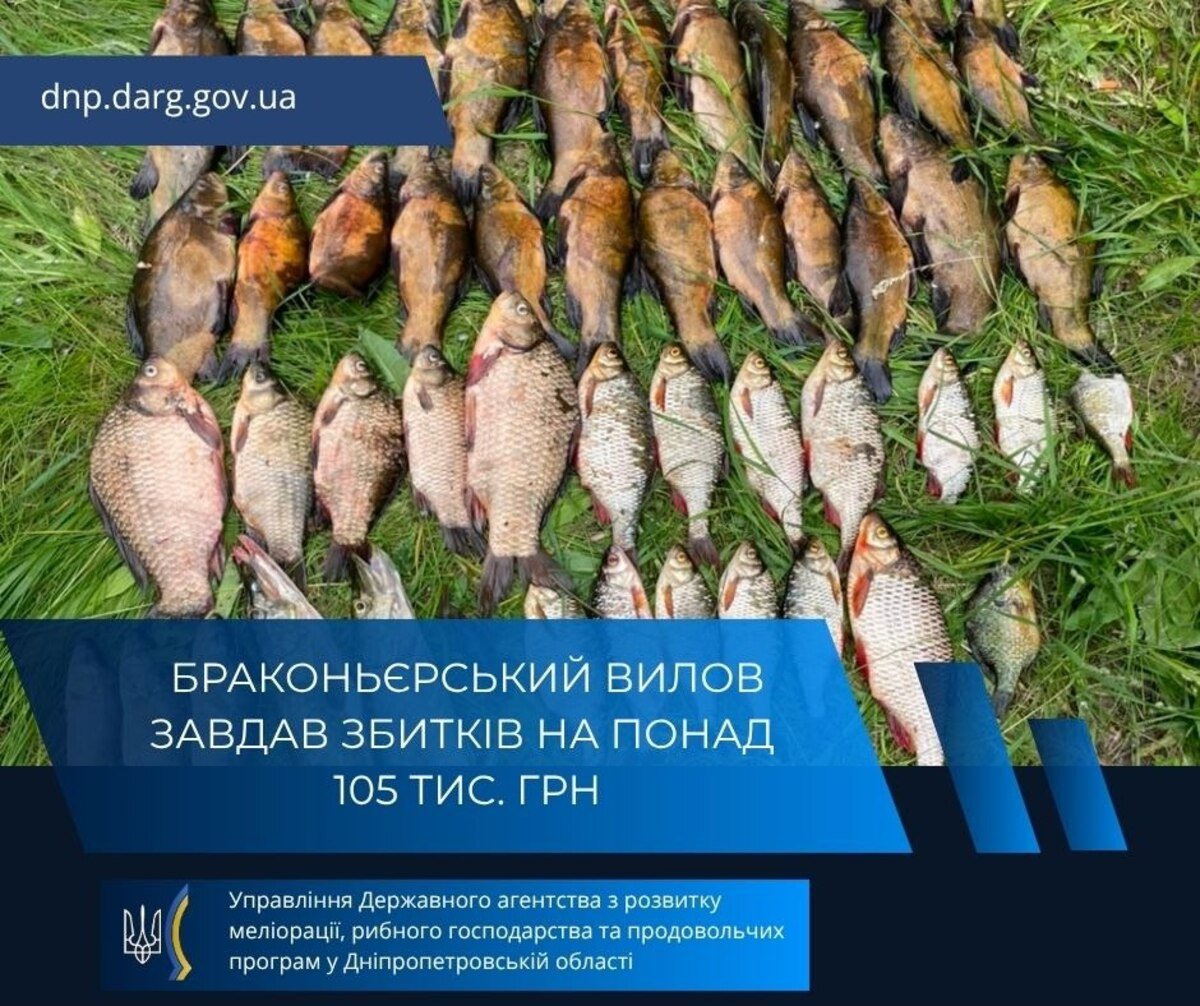 На Дніпропетровщині браконьєри наловили риби на понад 105 тисяч гривень збитків