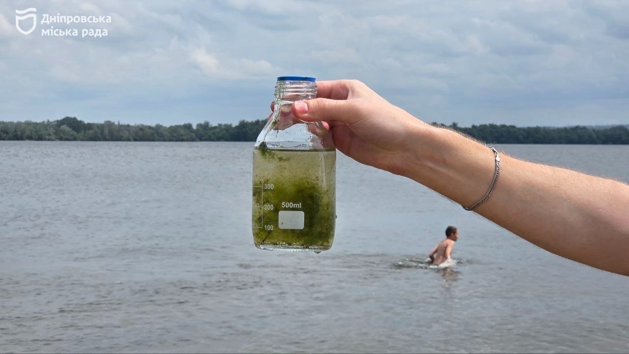 Можно ли купаться на пляже на Монастырском острове: выводы специалистов