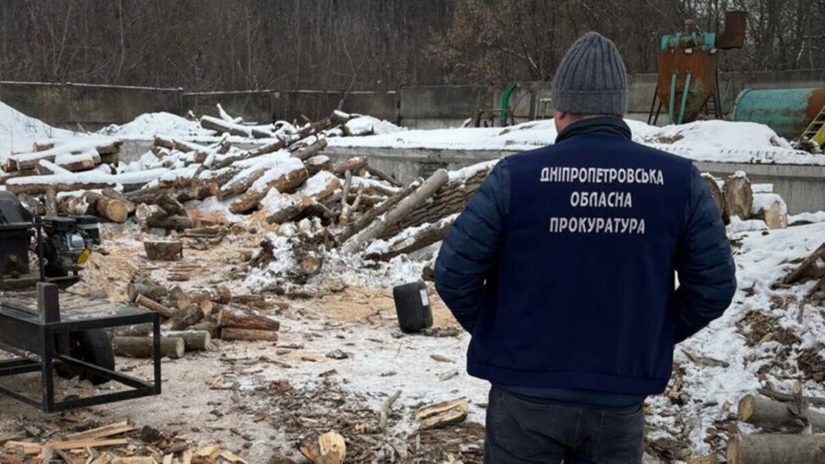 Ущерб окружающей среде достиг 2 млн грн: трех днепрян отправили под суд