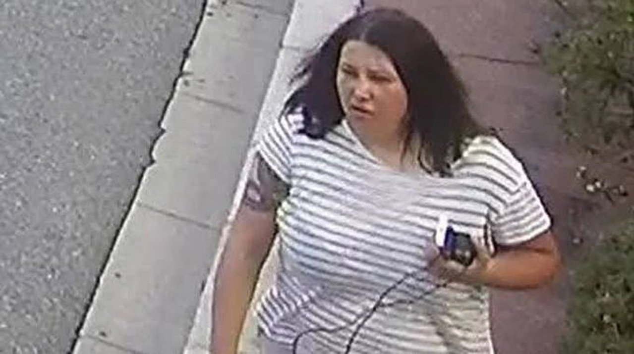 Под Киевом возможно нашли тело женщины, подозреваемой в покушении на Ермолаева — СМИ