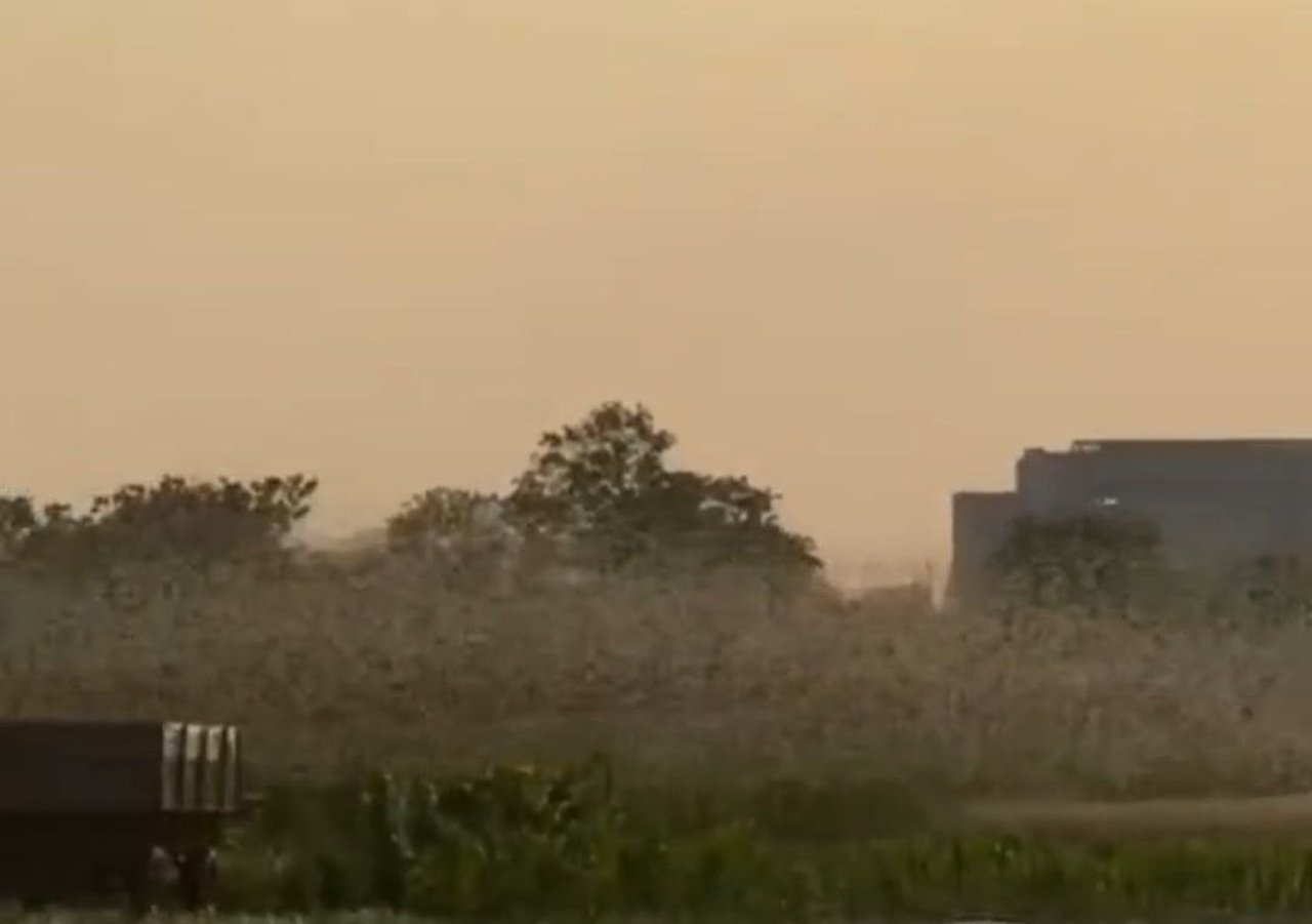 Сарана накриває поля Криворіжжя