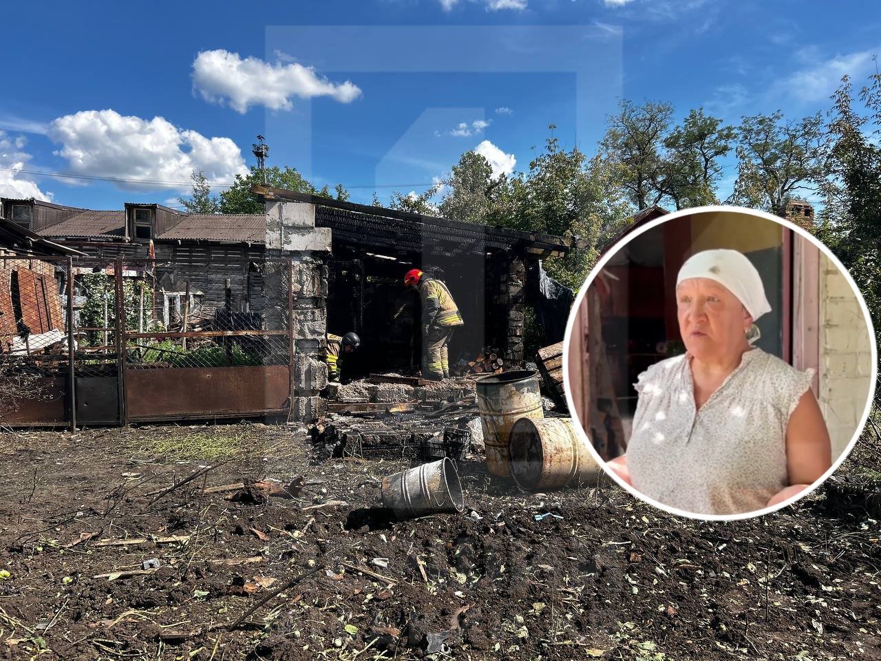 Кіт відвів від місця удару: у Кривому Розі домашній улюбленець врятував господиню