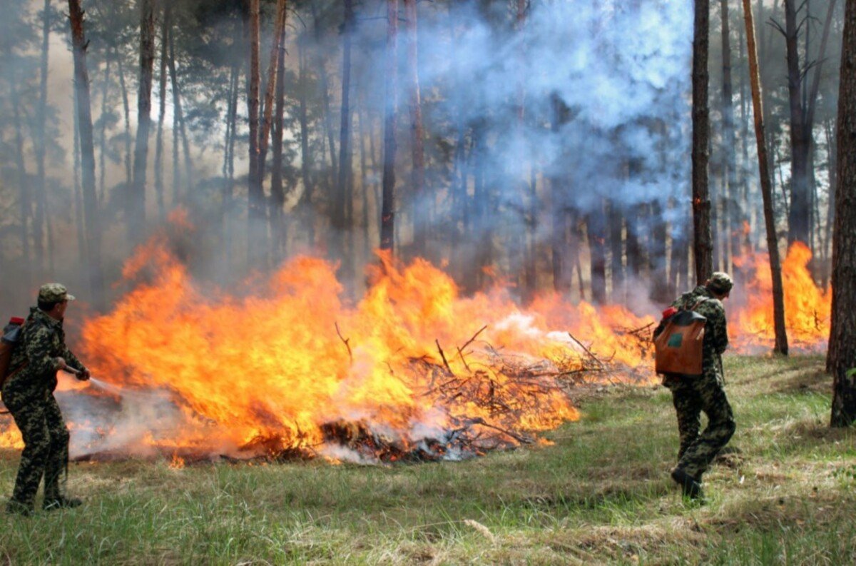 432423432432342 На Дніпропетровщині через спеку оголосили високий рівень пожежної небезпеки