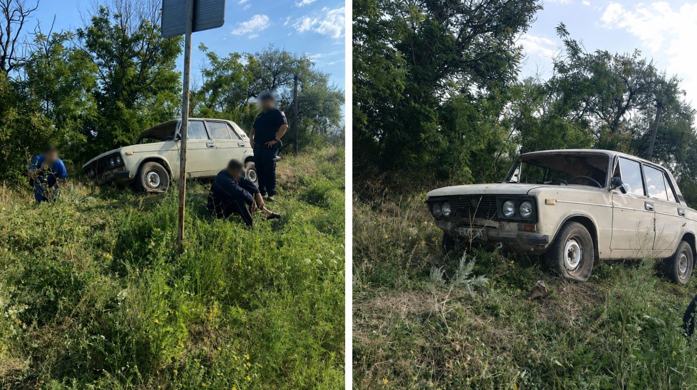 У Кривому Розі після ДТП за кермом авто сфотографували вівчарку