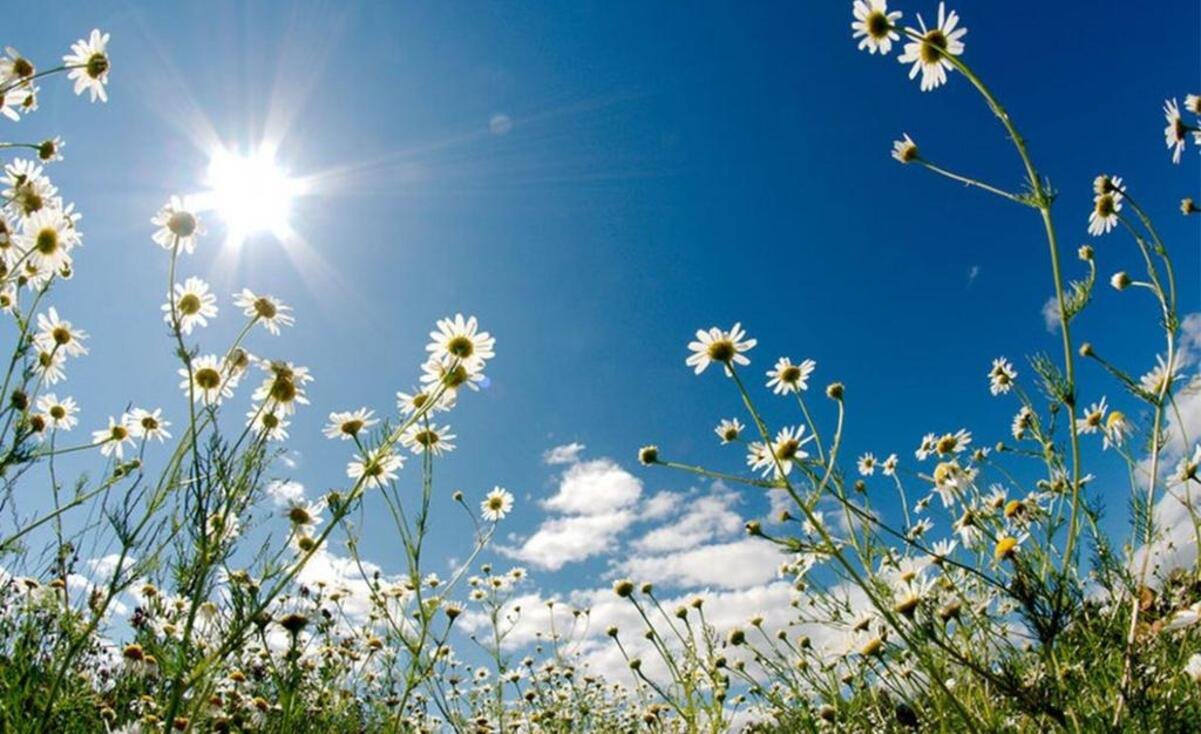 Мінлива хмарність і до +32°: погода на 10 серпня у Дніпрі