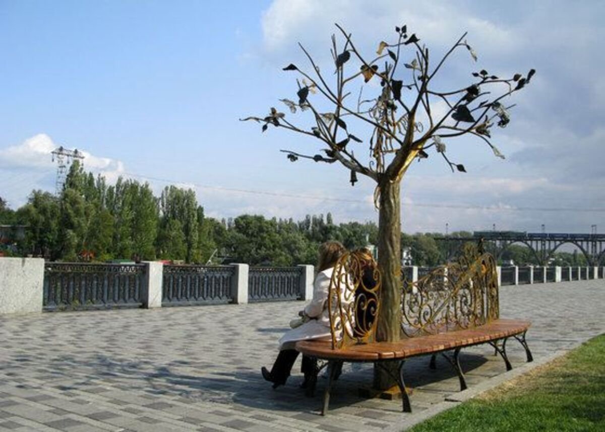 321312132132132 Дерево щастя у Дніпрі: де знаходиться особливе місце для закоханих