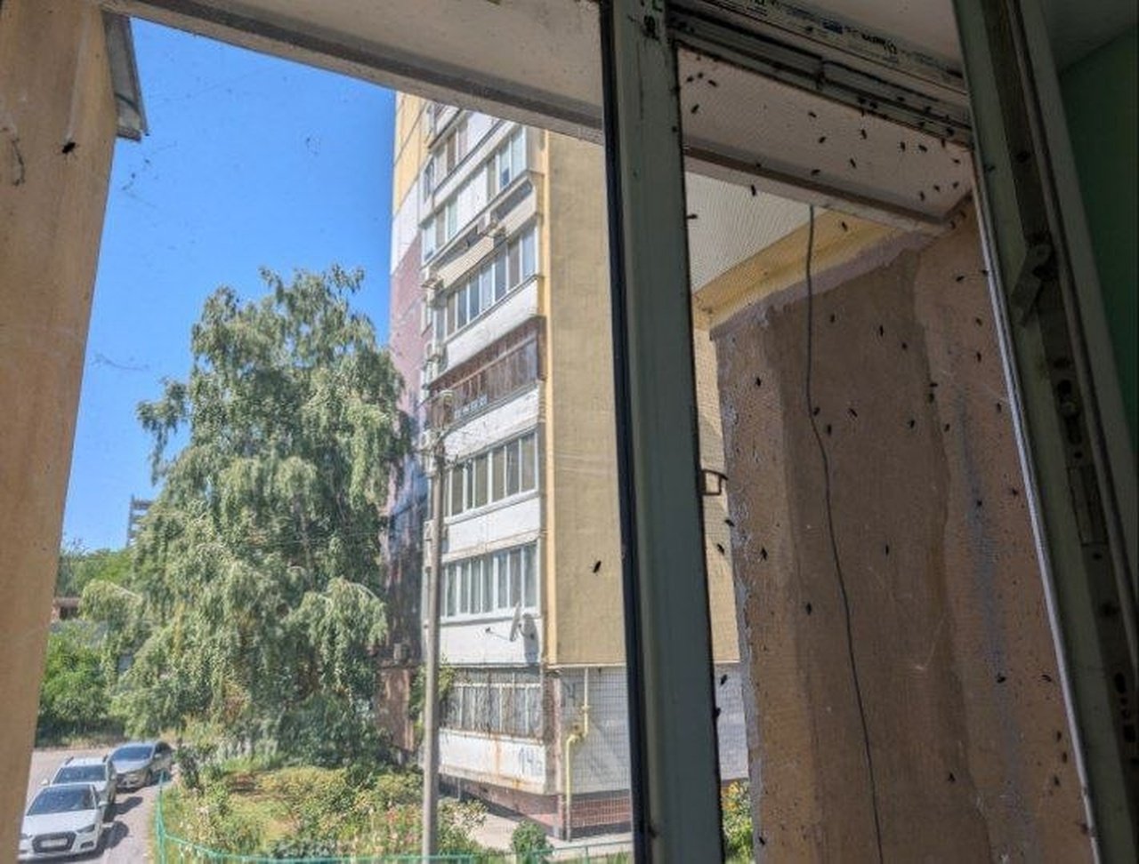 Мухи скупчились біля вікна багатоповерхівки в Дніпрі