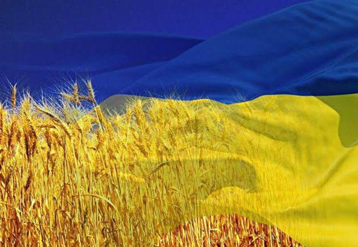 23 серпня - День Державного Прапора України: традиції, прикмети та іменини