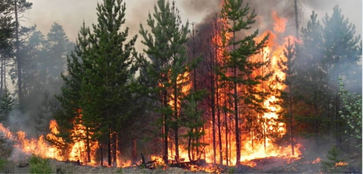 Дніпропетровщину накрила висока пожежна небезпека: які діють заборони
