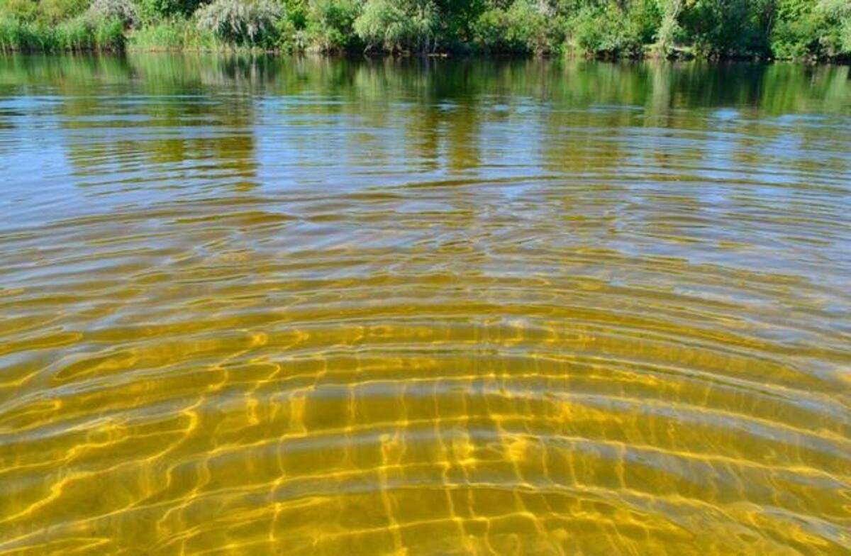 На Дніпропетровщині річки мають низьку водність: де ситуація найскладніша