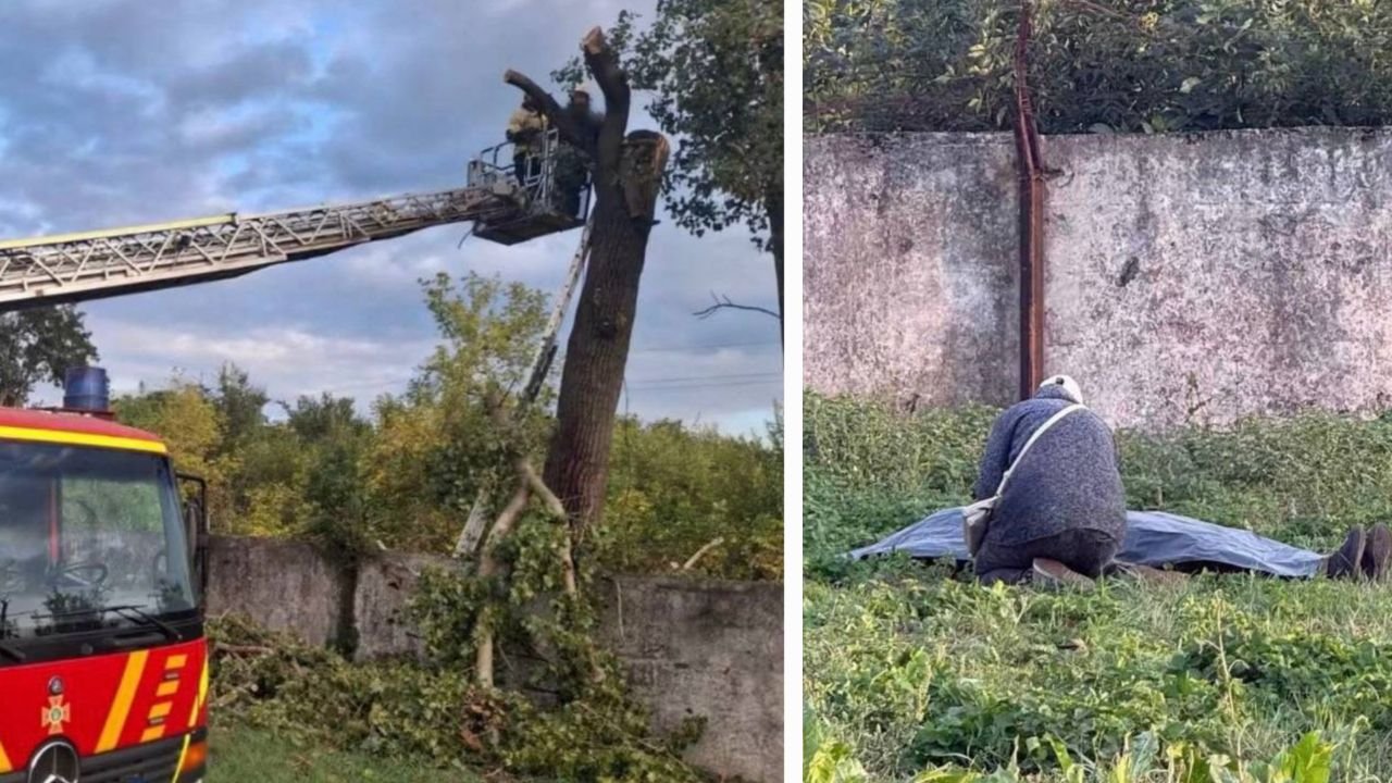 Смертельний нещасний випадок у Кривому Розі: чоловіка вбила гілка