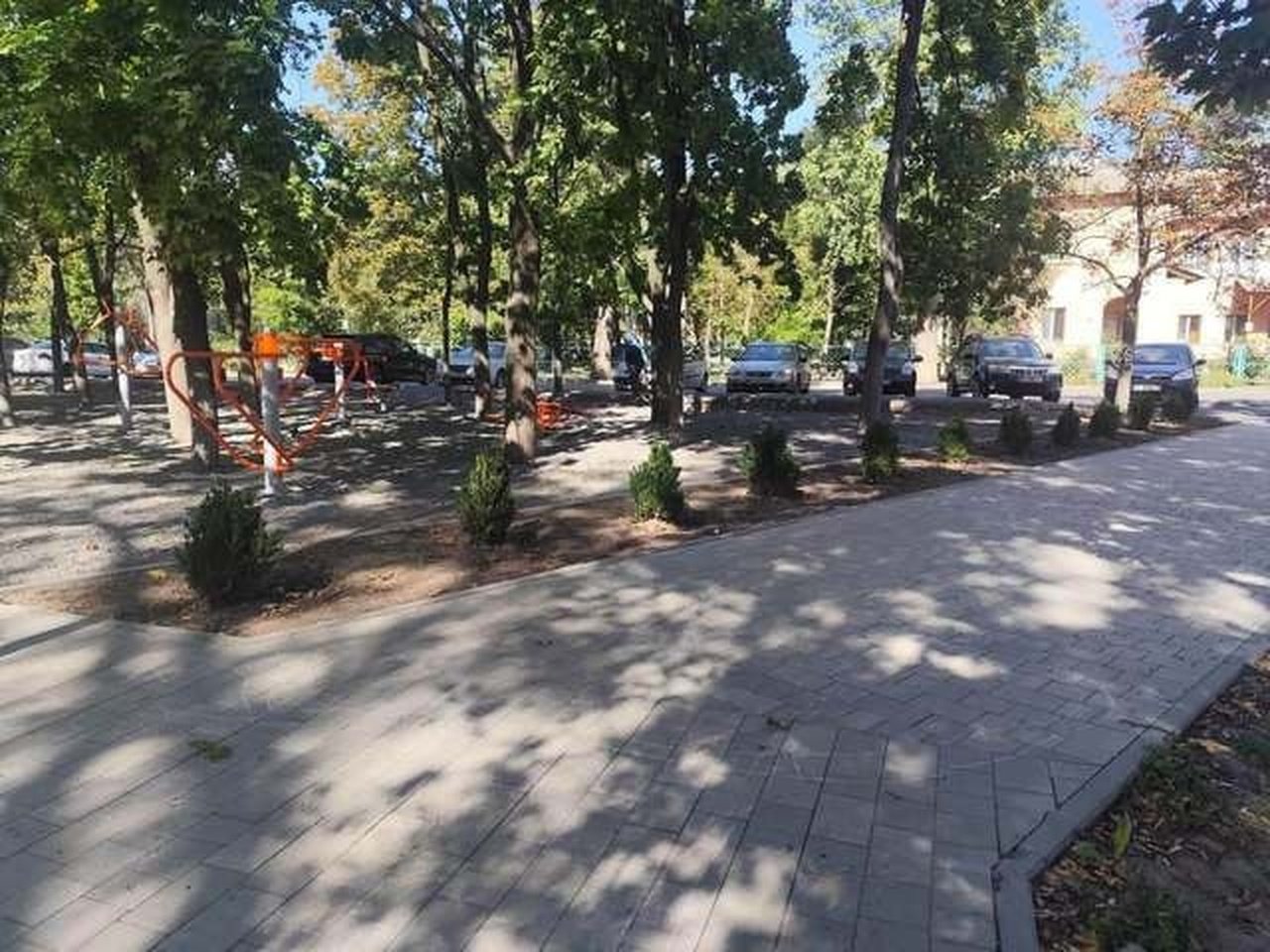 Не успели прижиться: в Приднепровске украли кусты в только что созданном сквере