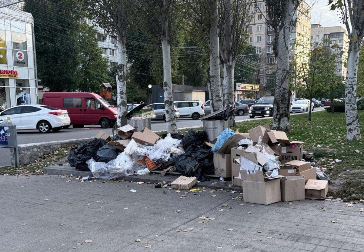 Гора сміття: у Дніпрі на Перемозі підземні смітники перетворилися на надземні