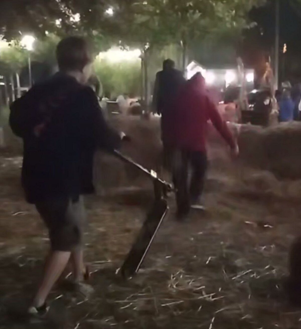 В Днепре заметили детей, уничтожающих фотозону в сквере Усачева